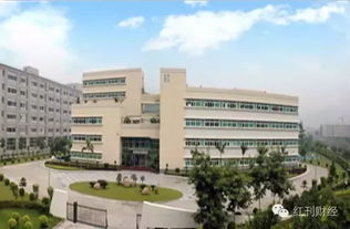 医药科技领域获机构重点关注个股解析 创新驱动下的投资新机遇